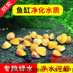 ���~�������S���Q�^�p��ˮ�|��ˮС�ӌ����~͘������ֳʺ�S��Ӱ�