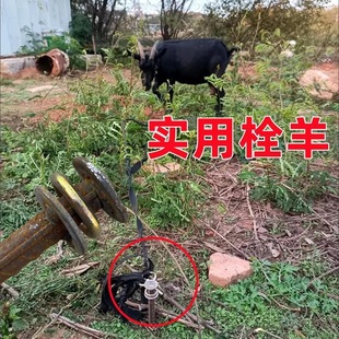 Large Dog Ground Stakes for Fixing Ground Pegs, Greenhouse Tent Stakes, Ground Nails, and Rebar for Grass