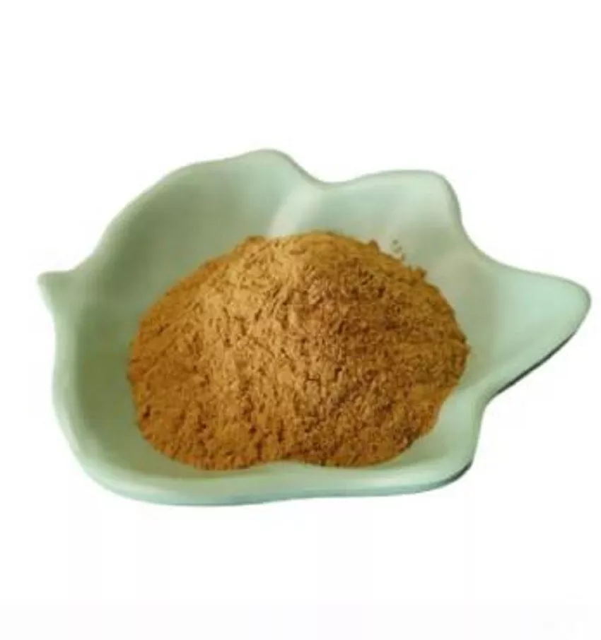 Cordyceps Powder Dong Chong Xia Cao 10g Dried Caterpillar Fungus Ground Herb for Daily Herbal Use quality and texture