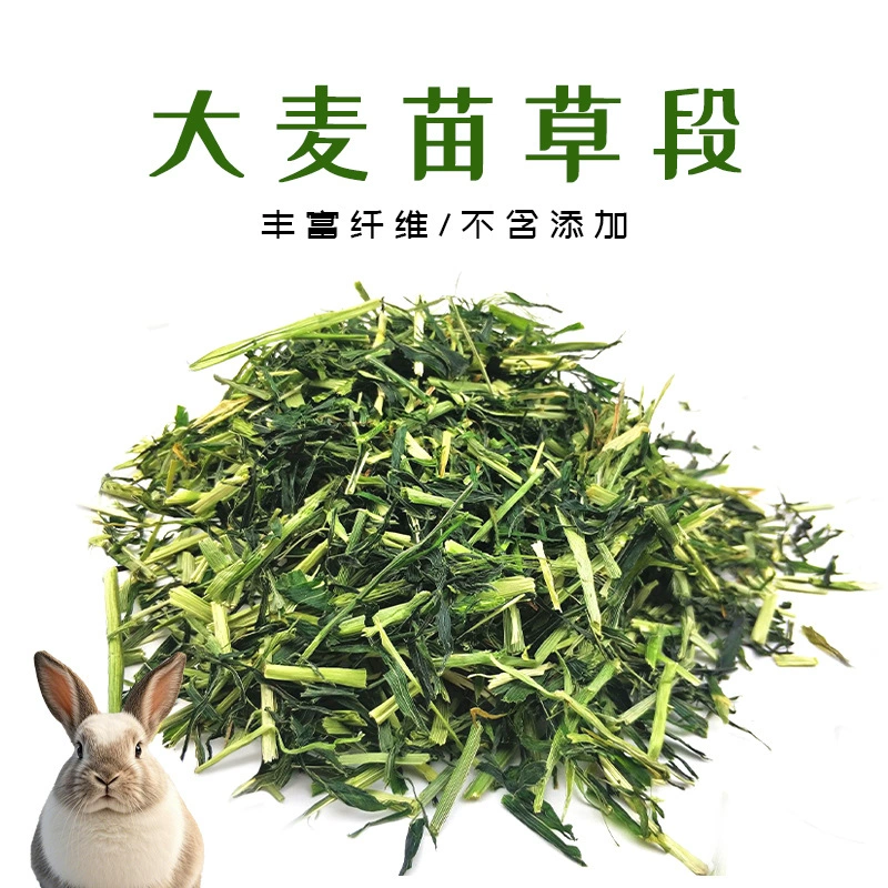 Сегмент рассады ячменя Сушка Сегмент кормовых листьев для домашних животных Голландская свинья Кролик Сегмент корма 2,5 кг