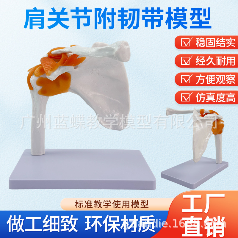 ��ѧ���������ؽ�ģ�ͼ��ι������ܸ��ʹ���������ṹ�ǿƽ̾�