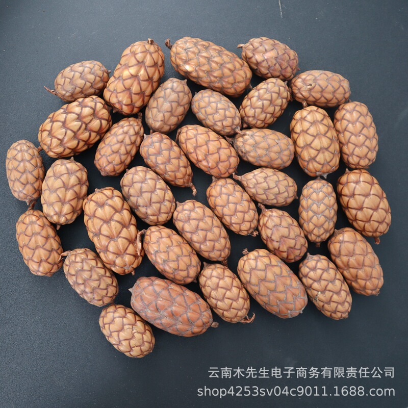 South American Areca Palm】Natural Dried Fruit Plant Specimen DIY Natural Plant Decoration Areca Fruit for Healing and Relaxation