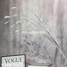 �����ȸ�ݟ���������𾀗l ���껨ˇ�JȔ��c���滨�����l�羳