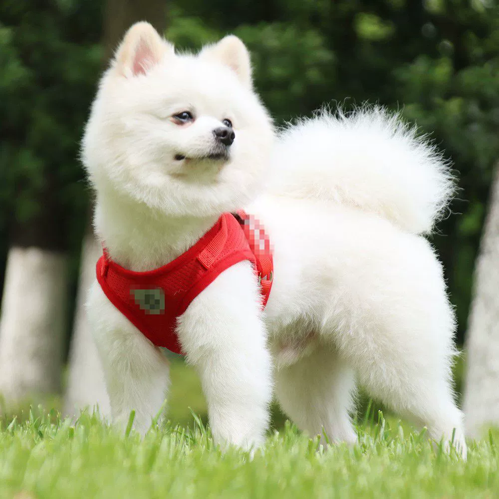 Новый нагрудный ремень для домашних животных жилет для собак Тяговая веревка Светоотражающая дышащая веревка для собак зоотовары оптом