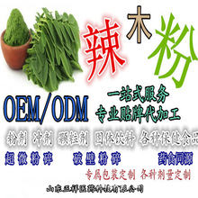 辣木叶提取物 辣木叶粉 辣木提取物 辣木粉 OEM 贴牌 代加工