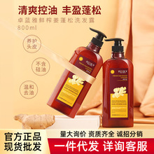 卓蓝雅鲜榨姜控油蓬松洗发露无硅油清爽去油生姜洗发水代发鲜姜