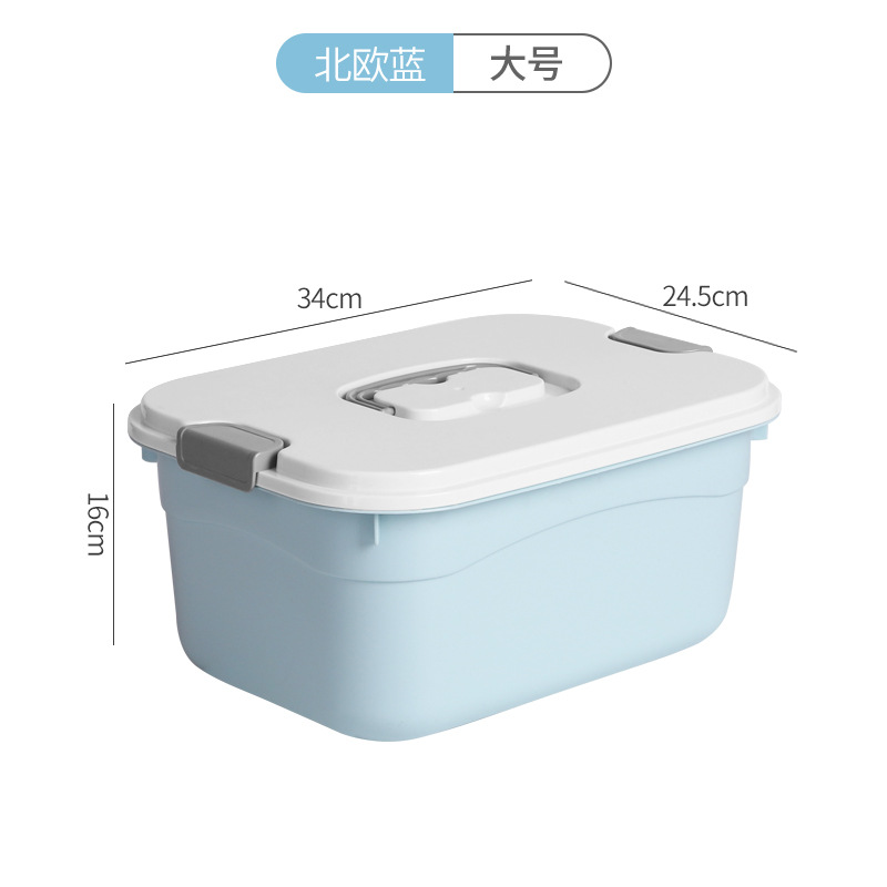 파란색 대형