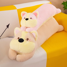 ��ͨ���湷���������L�l�������ܲ�������ż���ձ���S�����l���l