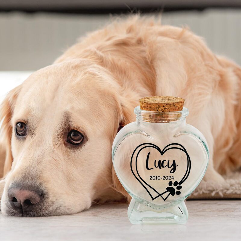 Etsy Glass Bottle Pet Hair Keepsake Urn (1 Piece Commemorative Gift, Custom-Made) Etsy Glass Bottle Pet Hair Keepsake Urn (1 Piece Commemorative Gift, Custom-Made)