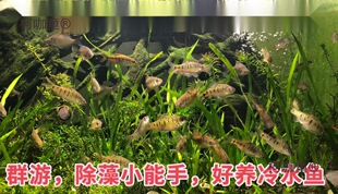 ԭ���B��ˮ�~�l�yС?�~���w��ˮСϪ�~���?Ⱥ���^�p���B��̫��