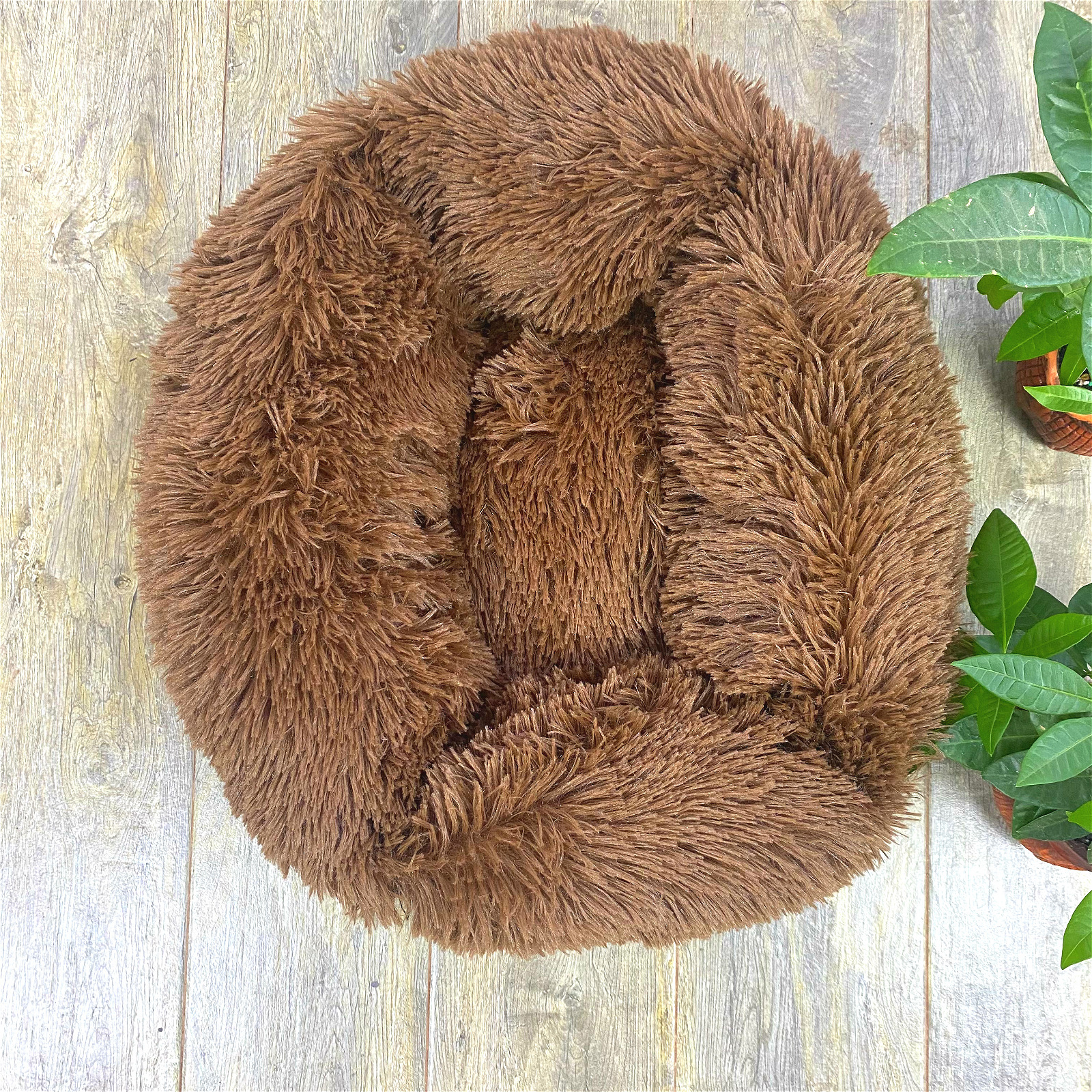 微信图片_20210802133834_meitu_10