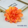 Autumn Daya-Orange