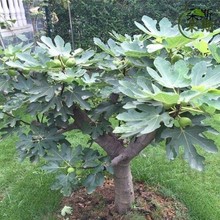 �ش�o�����������԰����o��������˷Nֲ����Y���ϱ����̨ͥԺ