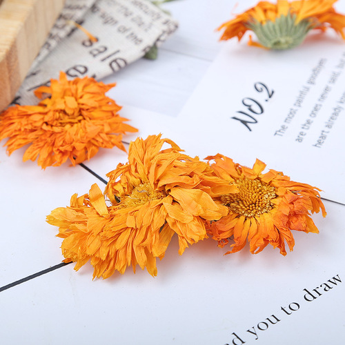Direct Supply Inner Mongolia Chrysanthemum Flower Tea, Bulk 500g, Wholesale
