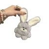 Big ears rabbit
