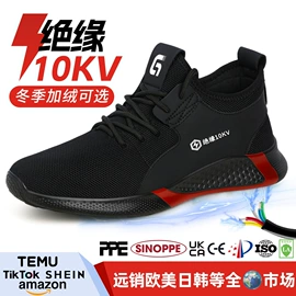 防砸防刺穿鞋;防静电鞋;其他足部防护