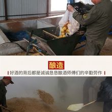東北純糧小燒玉米50度十斤大桶固態清香型白酒傳統工藝曲子發酵