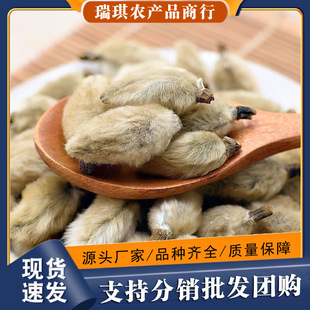 ���Ļ���ș��ë��ɢ�b���m���������Ļ���ˮʳ�������u�ϰ����l