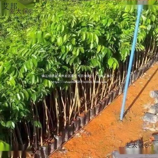 ���������������С�~�w�b10��z�ľ�S̴����̫��̴�����M�ژE