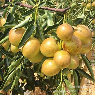 �������lͥԺ������޽ӗ� ������� �����޽��� ������ Ҏ���Rȫ