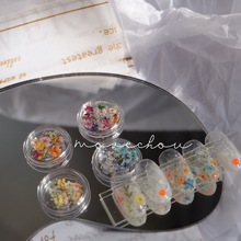 2022新款日系BLC同款美甲干花混色盒装天然押花指甲装饰彩色diy