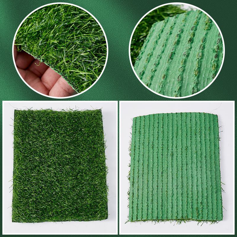 청카오 그리드 스페셜 [5 년간의 보증]