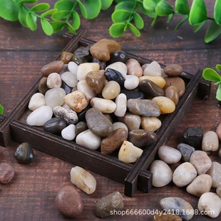 Pebble Rain Flower Stone Natural Pebble Fish Tank Flower Pot Fleshy Decorative Potted Garden Color Stone 5kg