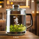 Baijiaxing Glass Water Cup with Lid Heat-resistant Glass Bubble Tea Cup with Handle Household Glass Cup Flower Tea Cup