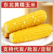 �|��Ŵ�������Ŵ����15����մ��b�SŴ��������״��l�������l