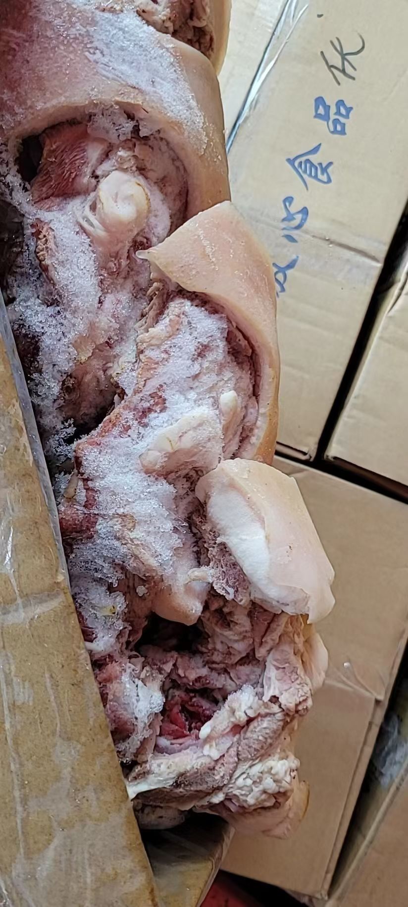 QQ图片20221019110355