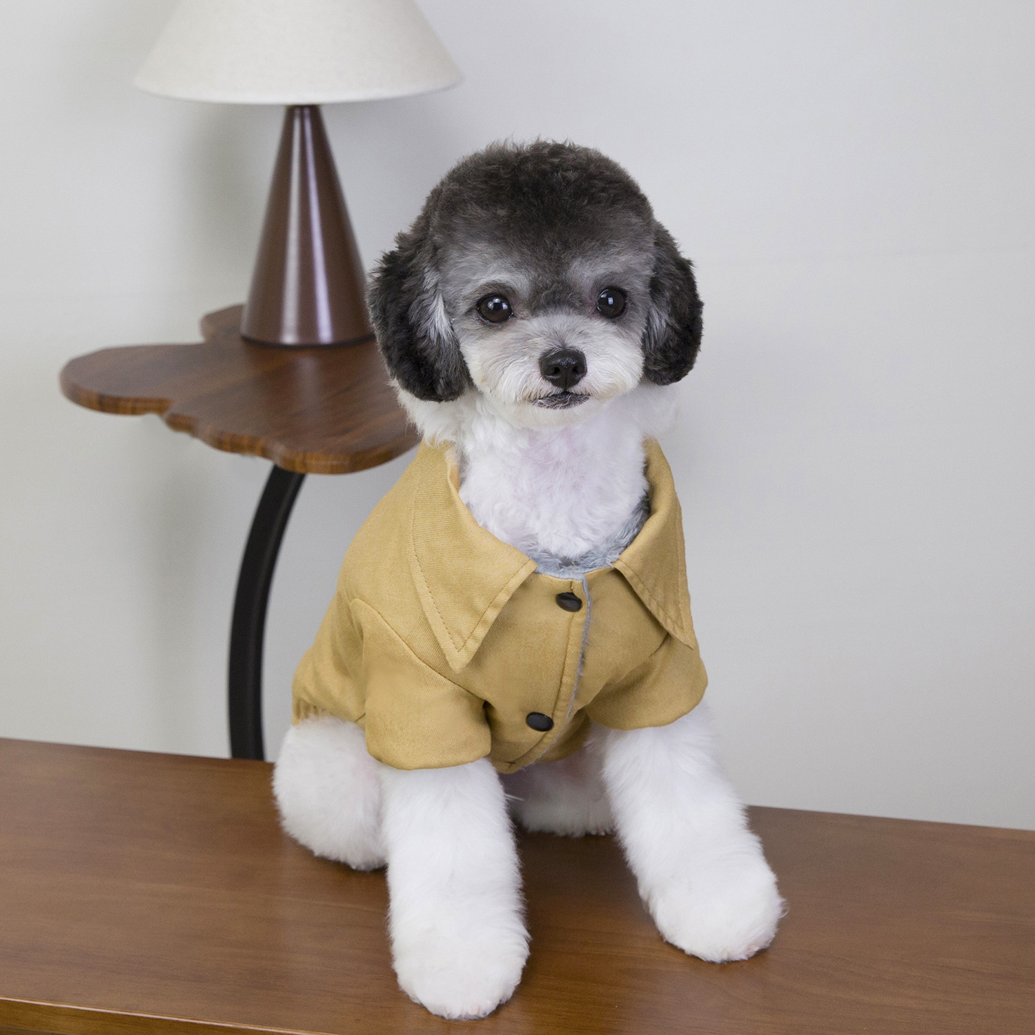 Giacca a due gambe per cani autunno e inverno ispessita calda e resistente al freddo gatto Bichon Teddy 25 giacca a due gambe