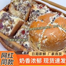 �W�t�½��������Ұ���ϸɹ����������������c�ɹ���ʳ�W������