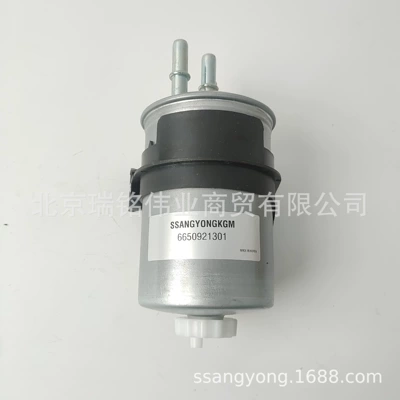 Shuanglong – Diesel filter Diesel Filter 6650921201
