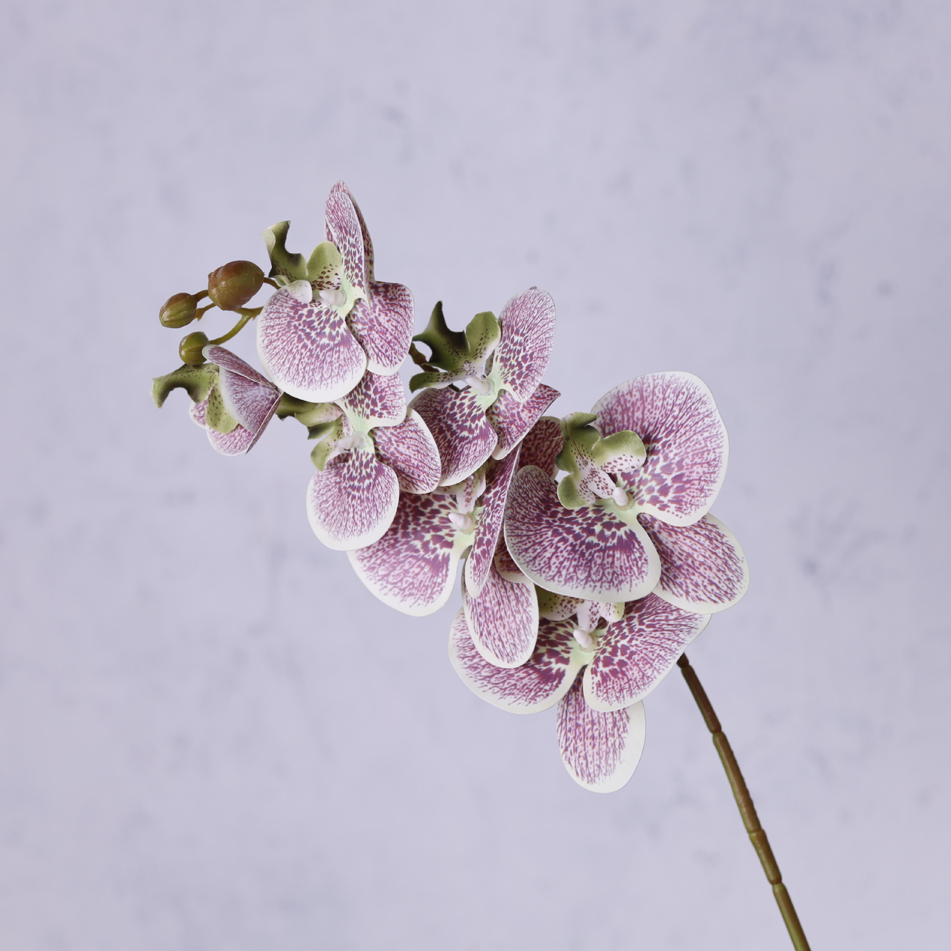 Impresión 3D de 7 cabezas de orquídeas mariposa flor de decoración de flores de alto nivel flor de nicho decoración floral decoración de sala de estar