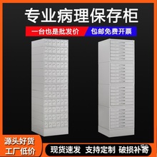 Ϟ�K����Ƭ��ϞƬ���M���˱�����Ƭ�噙��Ƭ������˱���ř�