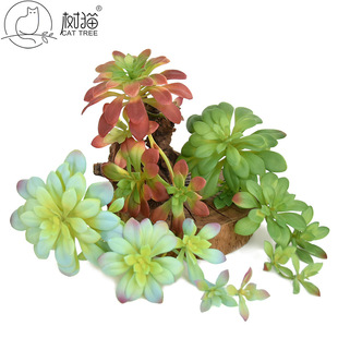 �������ֲ��27cm���ٺڷ������ϻ��Ҿ��b������ԽM��Դ�^�S��