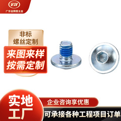 丸頭六角帯介ボルト高精度部品タッピングねじ青白亜鉛ステンレス非標準ねじ