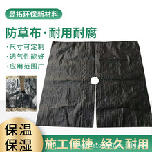 定制切片打孔防草布白色绿色除草布透水抗老化保湿除草园艺地布