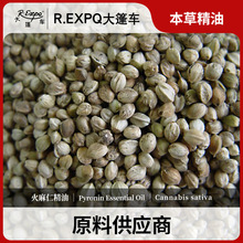 �����ʾ���ԭ�����l�����o���{�㱾�ݾ���Pyronin����܇����