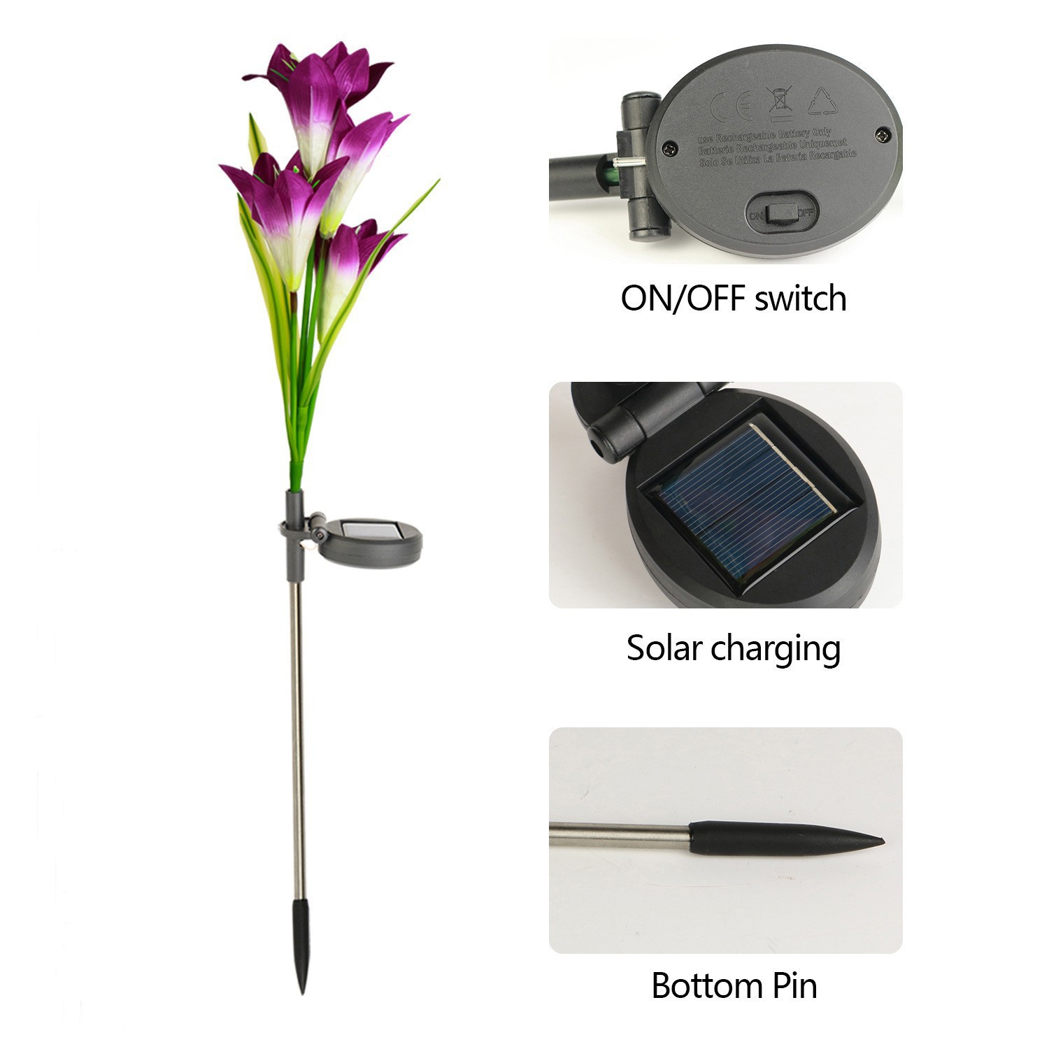 보라색 백합-다채로운