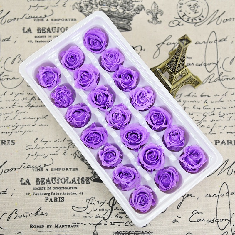 One Eternal Rose rosa púrpura