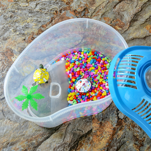 Pet Turtle Tank with Basking Platform, Full Box, Suitable for Brazilian and Grass Turtles, Coconut Island Tank with Handle