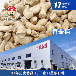 �㹽���p�����㹽�����㹽�_���㹽�U�㹽�o�㹽�^���؂䰸�ɳ���