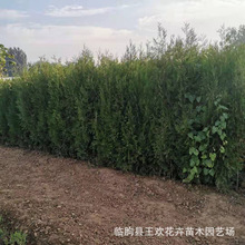 ɰؘ Ĺ؂Ȱرؘļ؈AؘG