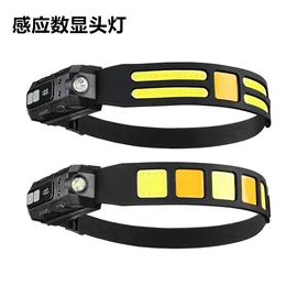 提灯;手电筒;野营/露营灯