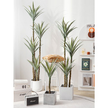 WLֲ߲ѪǧľRβFGֲ٘ؔ[