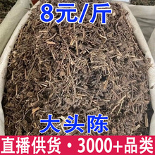 大头陈  捶草 乌头风 土夏枯草 地松茶 黑头草批发代发