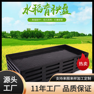 Jinnong 9-inch machine transplanting hard disk seedling tray/rice seedling tray seedling tray/transplanter seedling tray