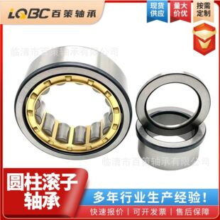 �S�ҬF؛�߾��܈A���L���S��NJ206 NJ207 NJ208 NJ209 NJ218EM/C3