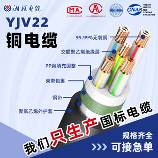 �z�b��|yjv22��|��0.6/1kv3595120ƽ��䓎��������������
